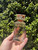 Used Tory Burch Perfume 60067-S000817833 View 2