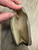 Used Chloe Leather Wallet 60107-S000331533 View 4