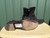 Used Frye Ankle Boots 9.5 60084-S000929182 View 3