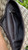 Used Gucci Small Handbag 60031-S000843306 View 6