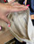 Used Under Armour Small Handbag 60072-S000585927 View 3