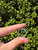 Used Gucci Ring 60067-S000818352 View 4