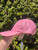 Used Gucci Summer Hat M 8-10/28-30 60067-S000818356 View 3