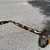 Used Kate Spade New York Sunglasses 60102-S000457114 View 4