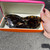 Used Kate Spade New York Sunglasses 60102-S000457114 View 1