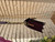Used Coach Small Leather Handbag 60085-S000368341 View 5