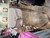 Used Coach Small Leather Handbag 60085-S000368343 View 4