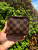Used Louis Vuitton monogram Wallet 60067-S000818970 View 2