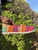 Used Toms Casual Shoes 8 60067-S000819119 View 6
