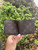 Used Louis Vuitton Wallet 60067-S000819169 View 2