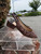 Used Chinese Laundry Low Heels 8 60067-S000819185 View 3