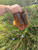 Used Frye Ankle Boots 8 60084-S000930831 View 4