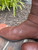 Used Tory Burch Tall Boots 10 60067-S000819608 View 8