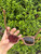 Used Quay Sunglasses 60067-S000819773 View 4