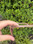 Used Quay Sunglasses 60067-S000819773 View 5