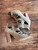 Used G By Guess High Heels 8.5 60043-S000956338 View 1