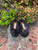 Used Inch Flats 10 60067-S000819836 View 4
