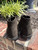 Used Prada Mens Boots 60067-S000819835 View 2