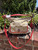 Used Coach Large Handbag 60067-S000819943 View 1