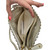 Used Stoney Clover Lane Small Leather Handbag 60099-S000373840 View 4