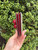 Used Gucci cherry Leather Wallet 60067-S000820447 View 5
