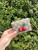 Used Gucci cherry Leather Wallet 60067-S000820447 View 1
