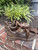 Used asics Casual Shoes 8 60067-S000820464 View 3