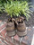 Used asics Casual Shoes 8 60067-S000820464 View 4