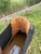 Used Dr. Martens Ankle Boots 9 60084-S000932641 View 7