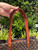 Used Dooney & Bourke Large Leather Handbag 60067-S000820917 View 5