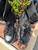 Used Prada Ankle Boots 10.5 60067-S000821247 View 2