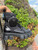 Used Prada Ankle Boots 10.5 60067-S000821247 View 5
