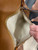 Used Dooney & Bourke Large Leather Handbag 60072-S000588614 View 4