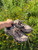 Used Nike Performance Shoes 8 60084-S000933489 View 1