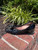 Used Gucci Low Heels 7 60067-S000821837 View 3