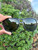 Used Tom Ford Sunglasses 60067-S000821945 View 2