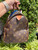 Used Louis Vuitton Speedy 30 Handbag 60067-S000822721 View 3