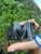 Used MCM Belt M 8-10/28-30 60067-S000822730 View 1