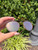 Used Ray ban Sunglasses 60067-S000822961 View 5