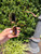 Used Ray ban Sunglasses 60067-S000822961 View 3