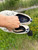 Used Sperry Top-Sider Flats 9 60084-S000935187 View 5