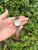 Used Burberry Watch 60067-S000823215 View 1