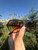 Used Ray-Ban Sunglasses 60084-S000935727 View 3