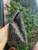 Used Fendi Small Handbag 60067-S000823224 View 6