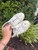 Used Golden Goose Casual Shoes 7 60067-S000823273 View 7