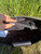 Used Coach Small Handbag 60084-S000936105 View 1