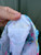 Used Lilly Pulitzer Shorts 2-26 60084-S000936718 View 6