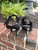 Used Alexander Wang High Heels 60067-S000823717 View 2