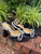 Used Mach & Mach Low Heels 10 60067-S000823753 View 3