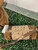 Used Brahmin Small Leather Handbag 60008-S000684563 View 2